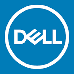 Dell EMC partner